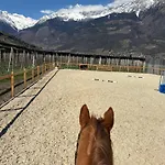 Appartement Valentinhof - Organic Farm *