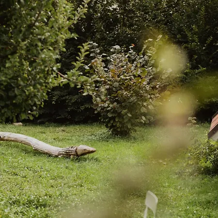 公寓 Valentinhof - Organic Farm 梅拉诺