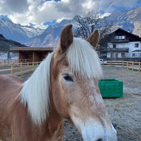 Appartamento Schoene Am Stadtrand Von Valentinhof