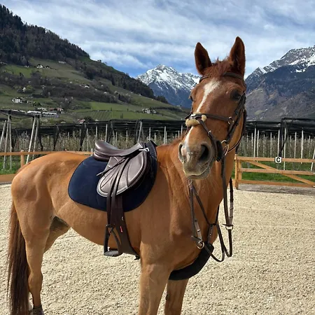 Valentinhof - Organic Farm 公寓 *