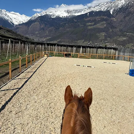 Appartement Valentinhof - Organic Farm *
