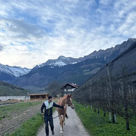 Valentinhof - Organic Farm 公寓 梅拉诺