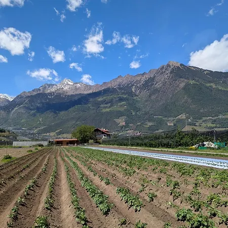 Valentinhof - Organic Farm Meran