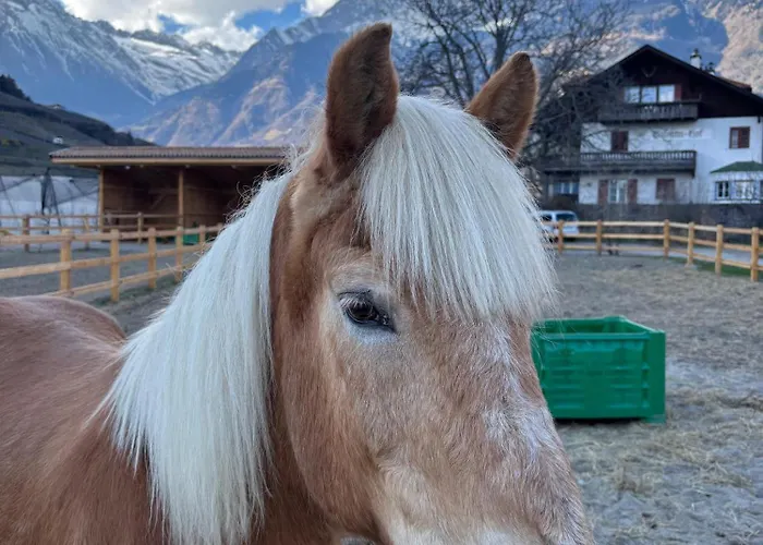 公寓 Valentinhof - Organic Farm