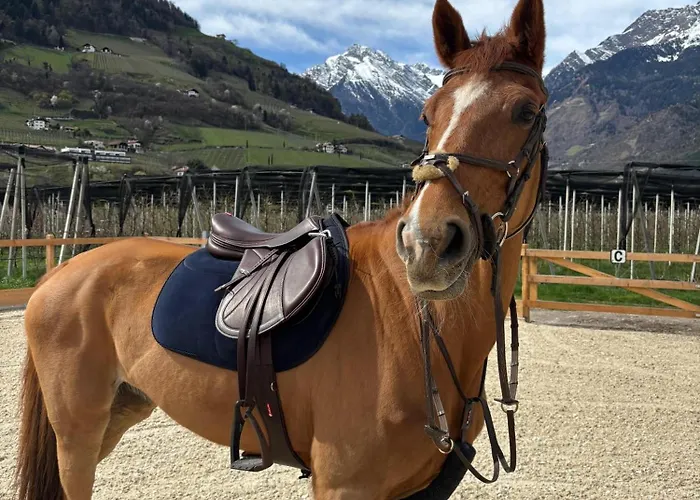 Valentinhof - Organic Farm 公寓 *