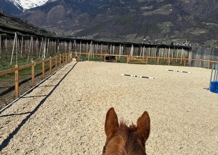 公寓 Valentinhof - Organic Farm *