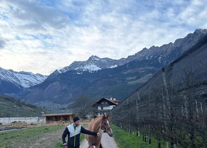 Valentinhof - Organic Farm 公寓 梅拉诺