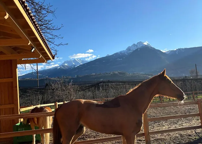 公寓 Valentinhof - Organic Farm 梅拉诺